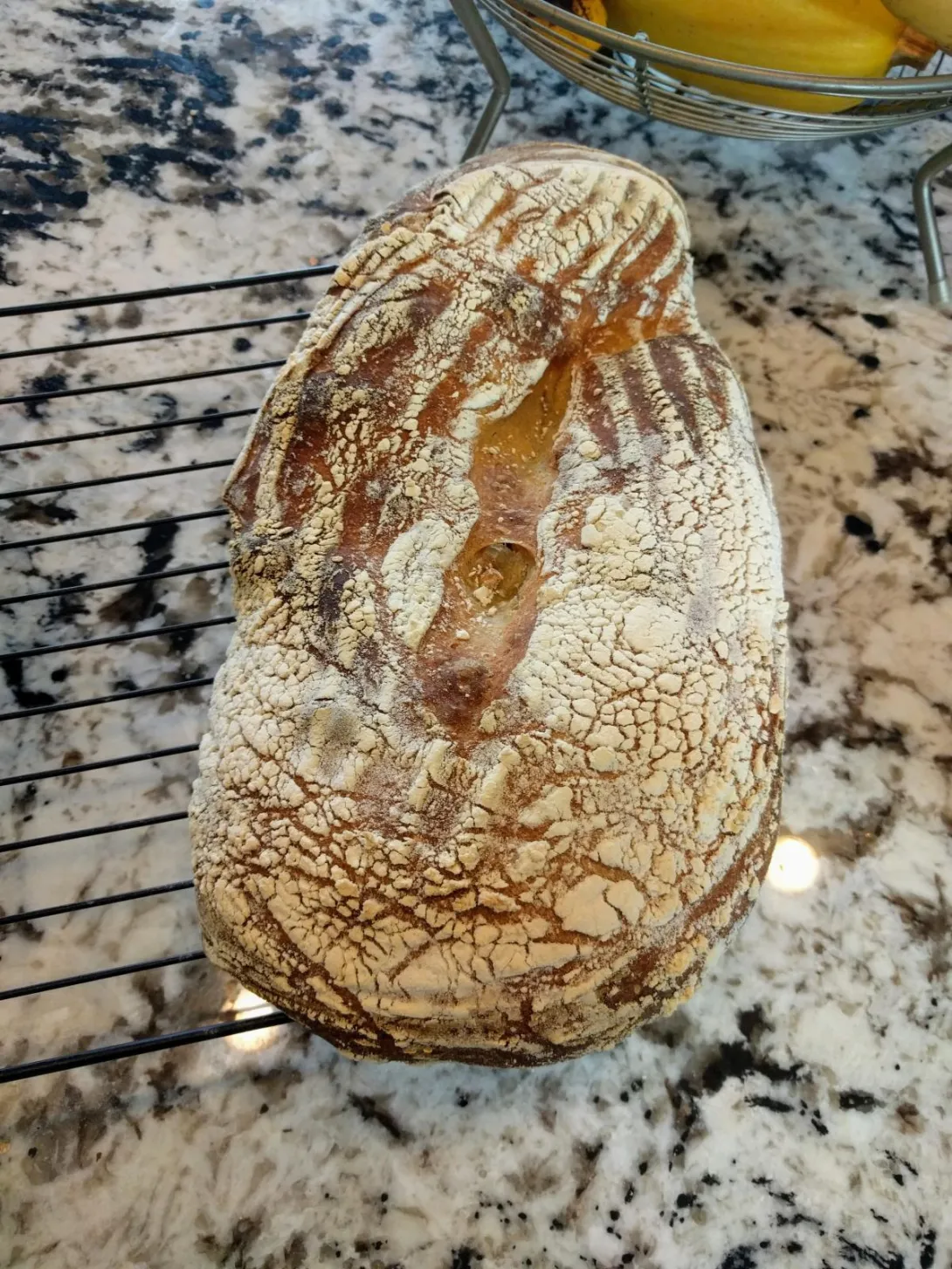 IMG_20190202_132807.jpg IMG_20190202_132807.jpg