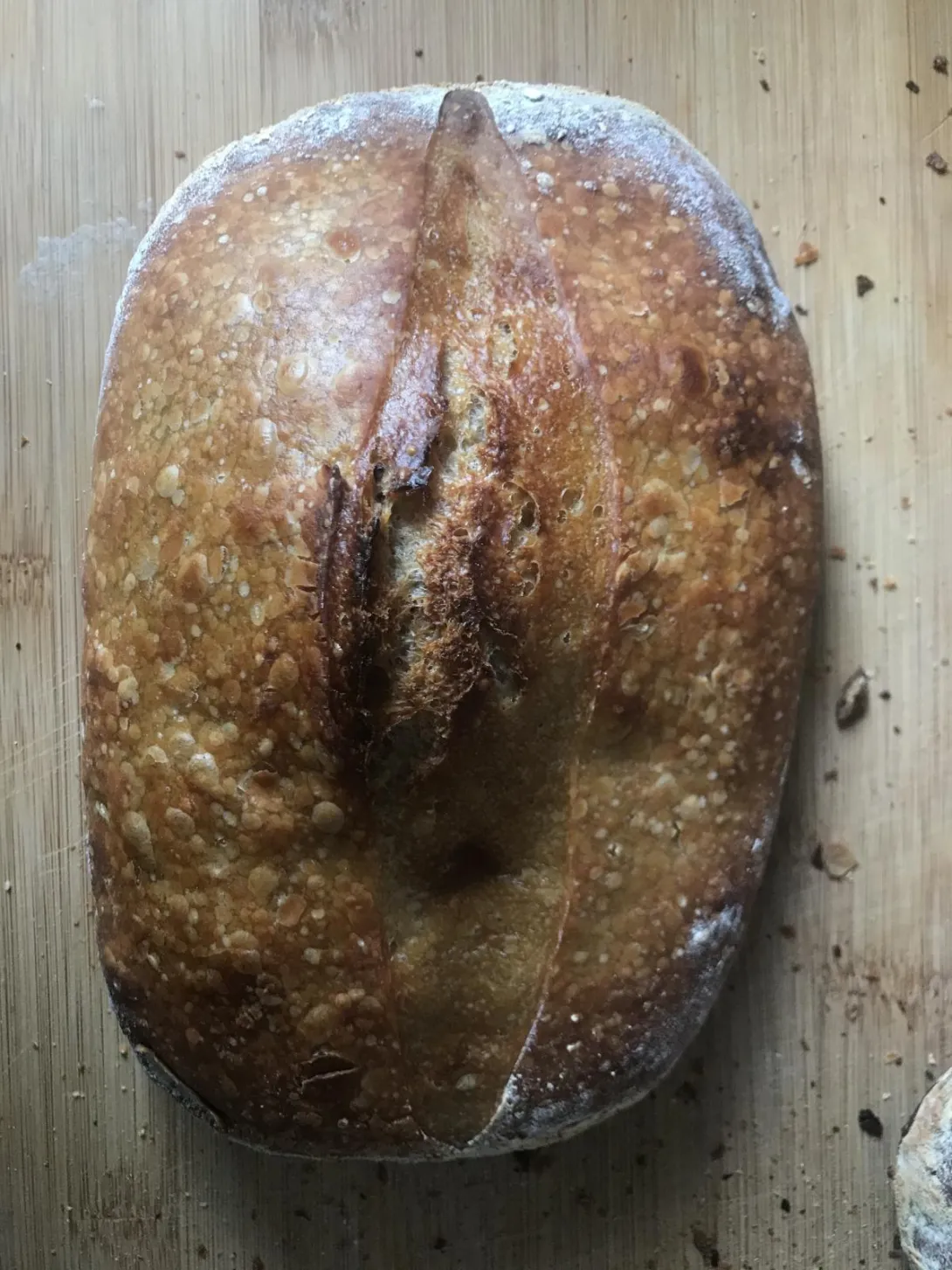 Loaf with almost an ear