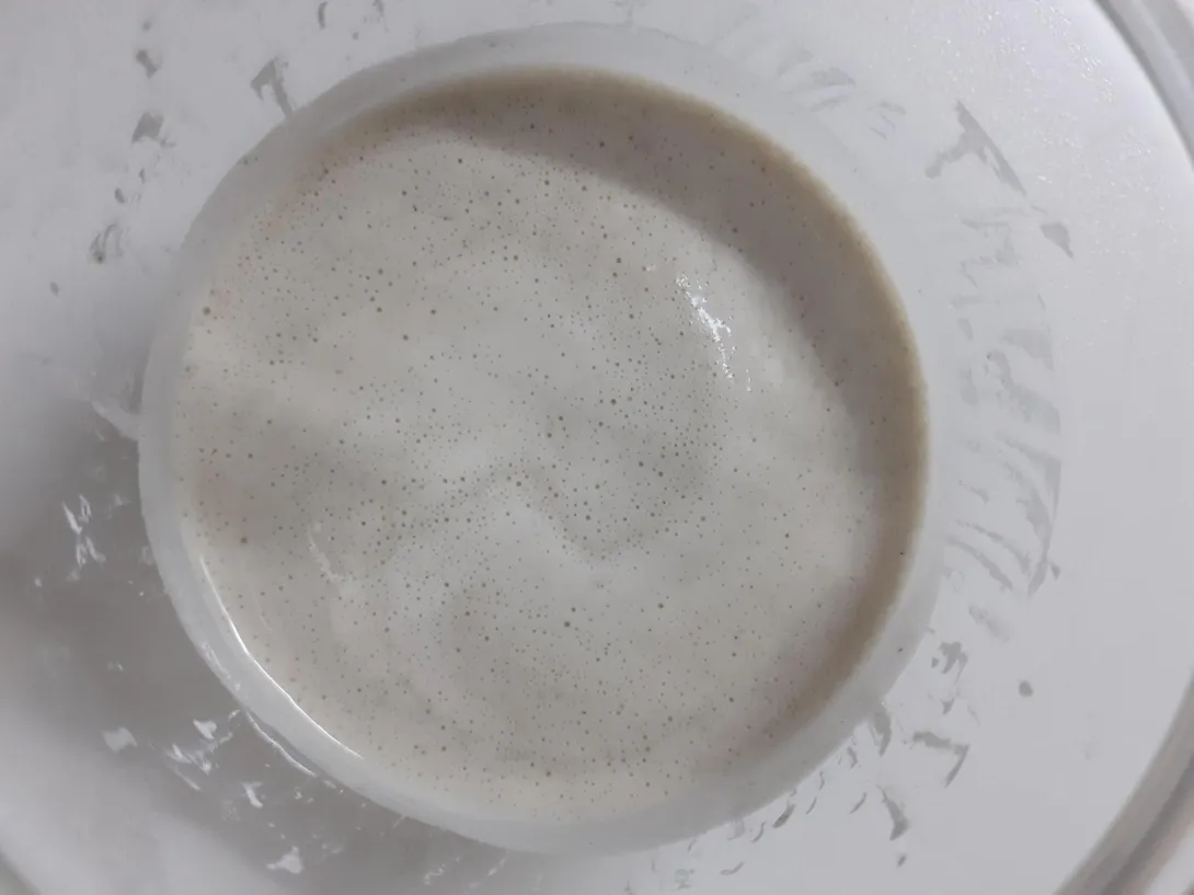 Initial Mix 25g water + 20g bread flour @ 12 hour mark.jpg