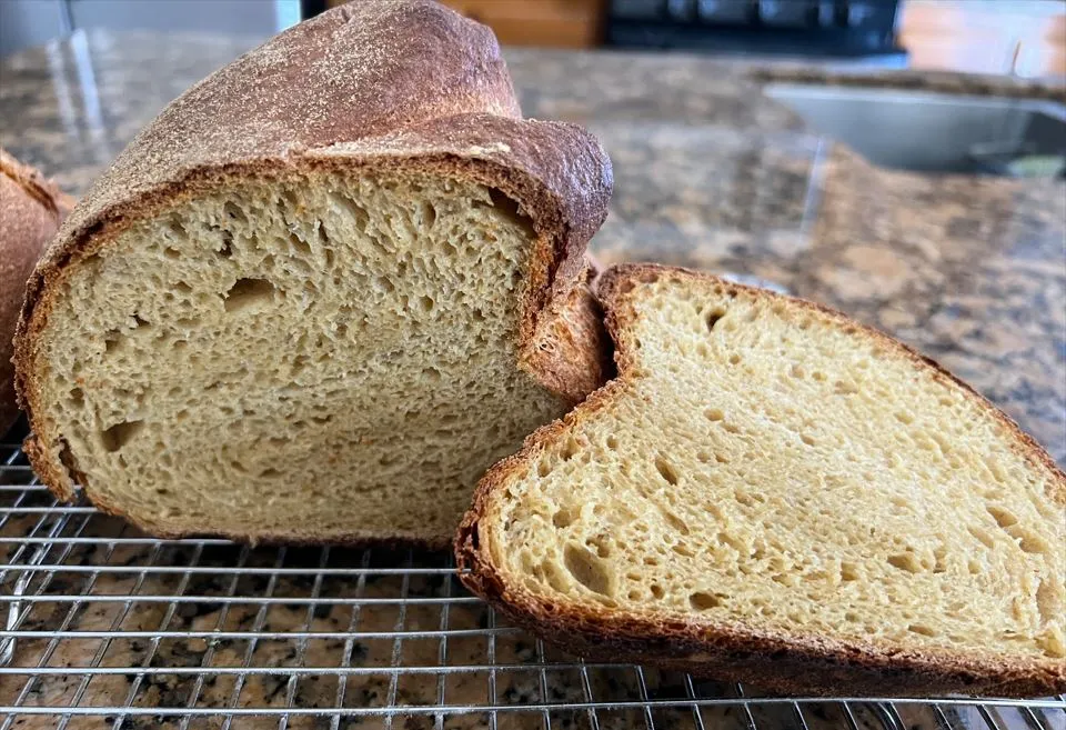 Pane di Altamura 5.3.2023 Crumb.JPG