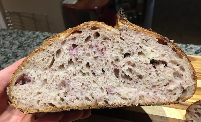 Polenta - Crumb 2.JPG