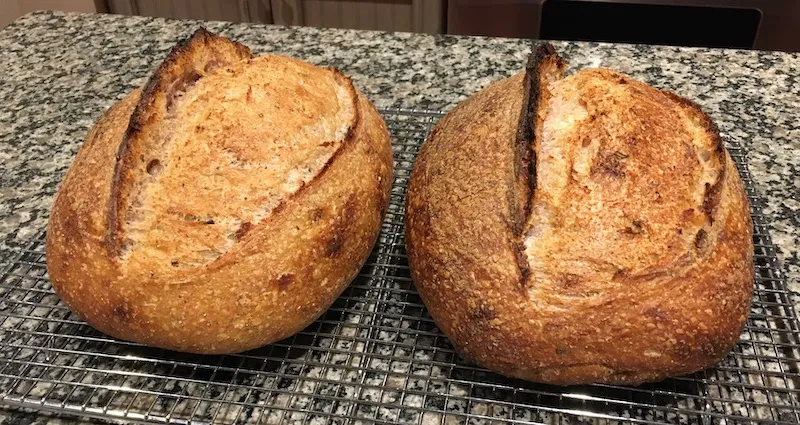 Polenta - Overall 1.JPG