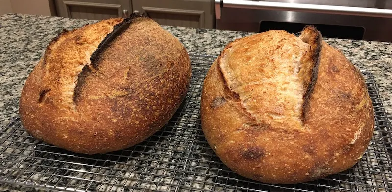 Polenta - Overall 2.JPG