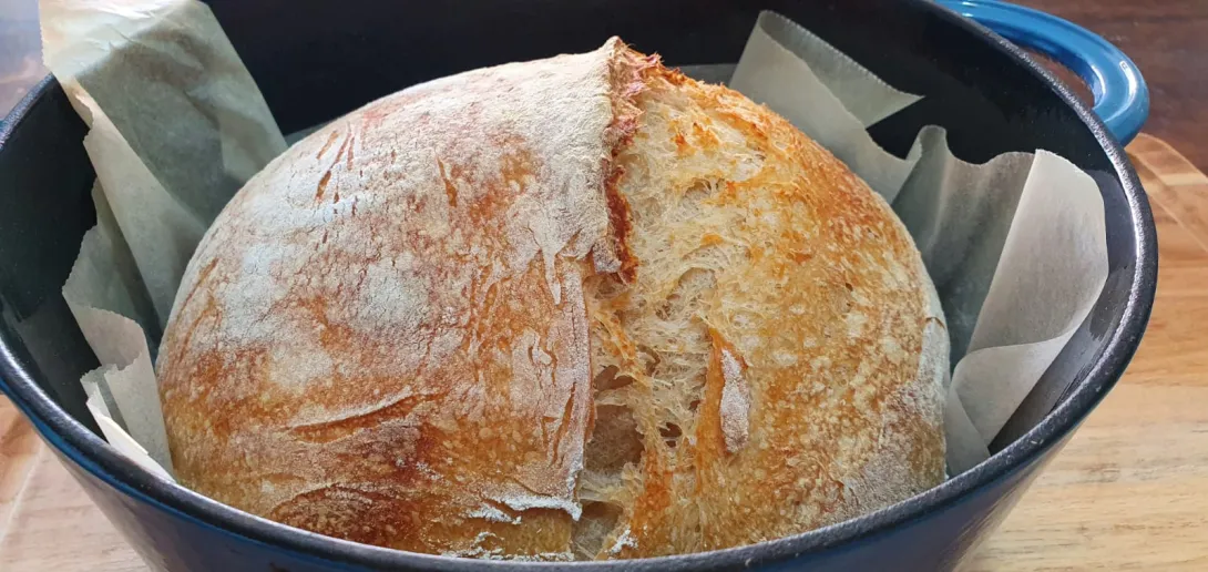 22%wolewheat sourdough bread