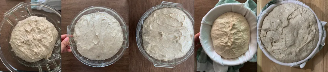 Screen Shot 2020-06-01 at 10.11.31 PM.png