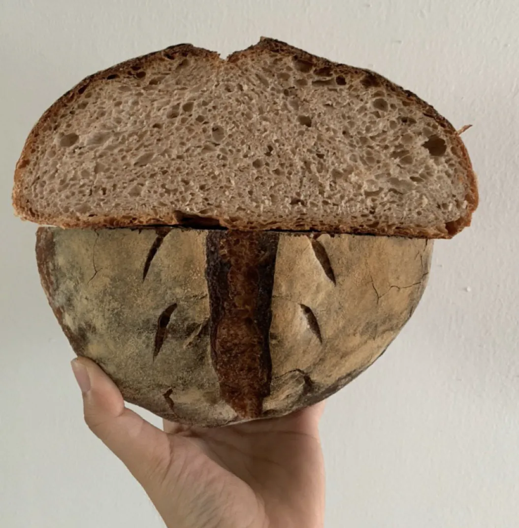 Screen Shot 2020-06-01 at 10.16.31 PM.png