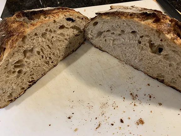 Sourdough Crumb LoRes_053020.jpg