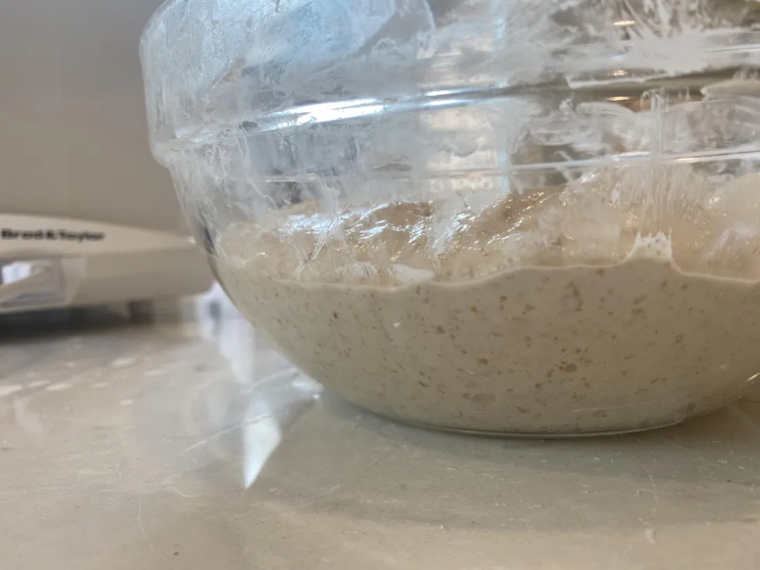 Tartine Basic Loaf at 3 hours of bulk fermentation (70% hydration) - side view