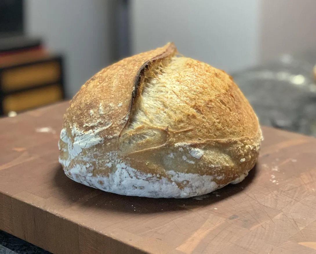 better rise copy.jpg