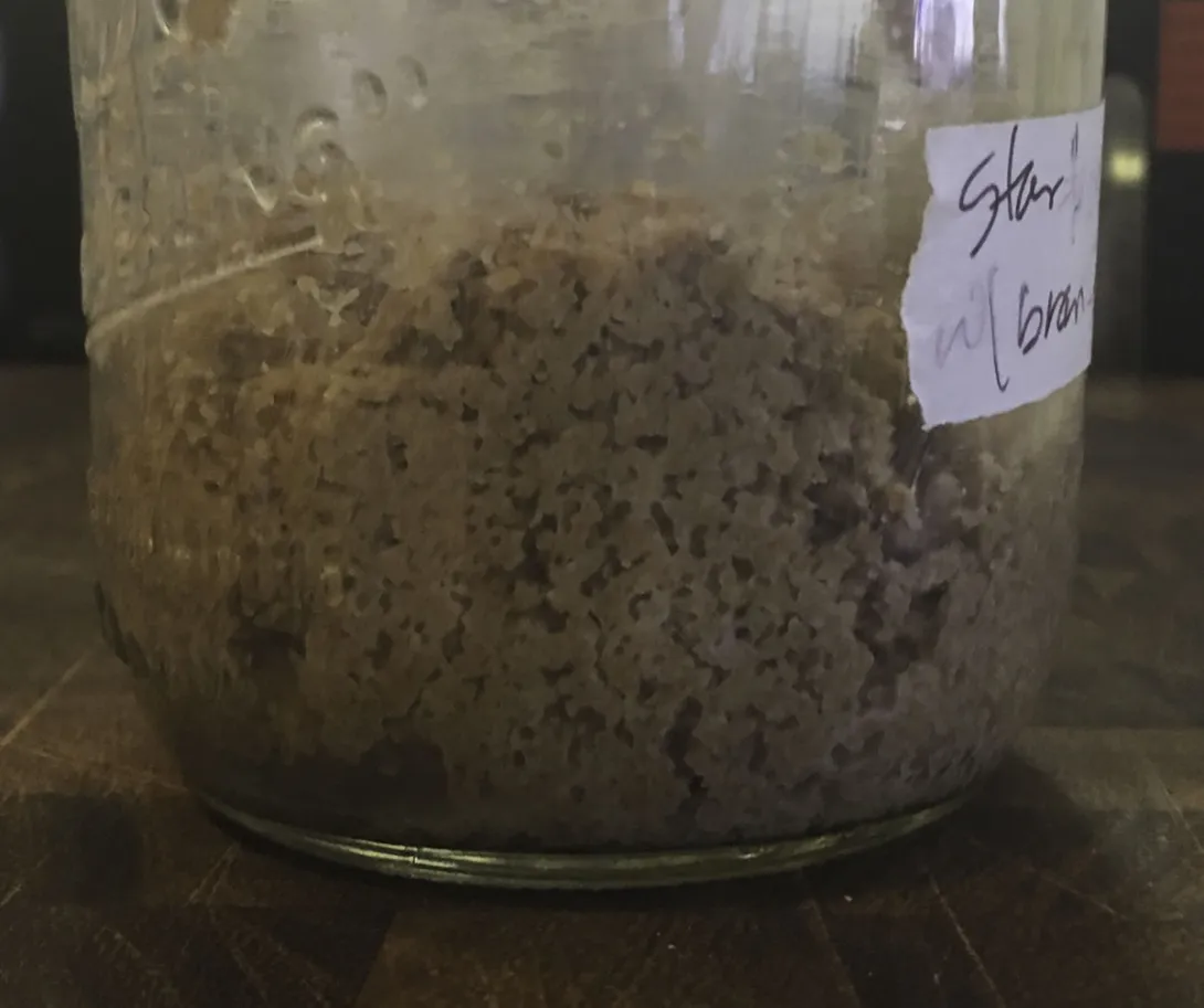 bran levain 2 7-16-18.jpg