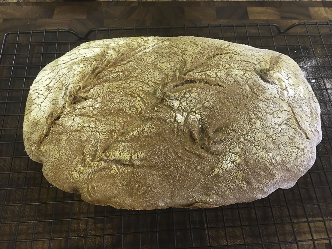 bread 1 7-16-18.jpg