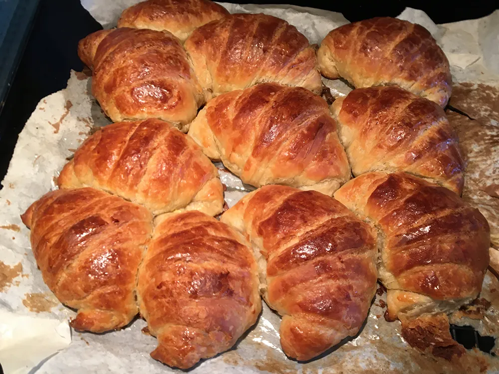 sourdough croissants