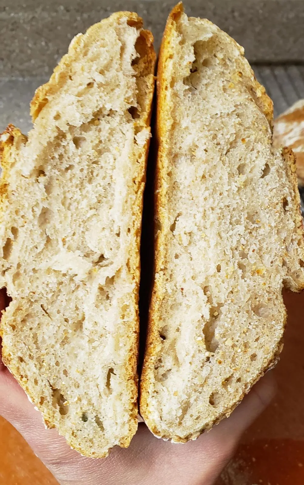 crumb.jpg