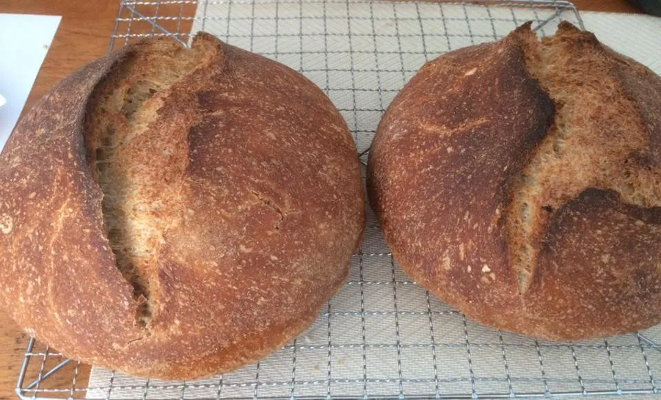 overnight brown with homemilled wheat.jpg