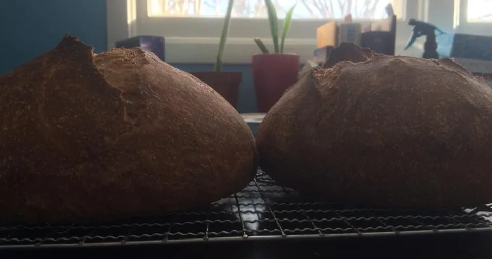 overnight brown with homemilled wheat2.jpg