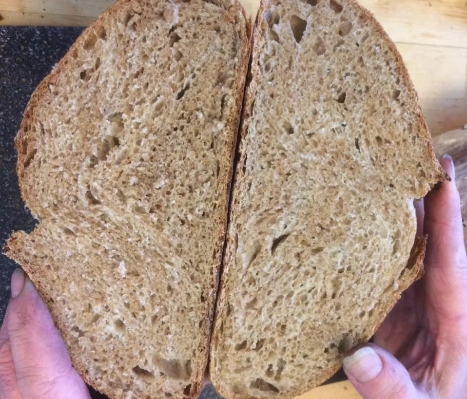 overnight brown with homemilled wheat3.jpg