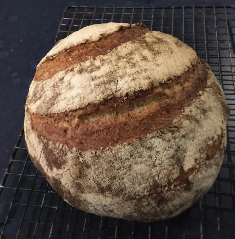 sourdoughx1.jpg