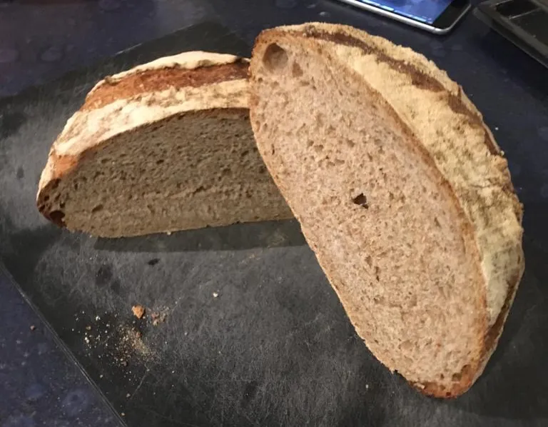 sourdoughx2.jpg